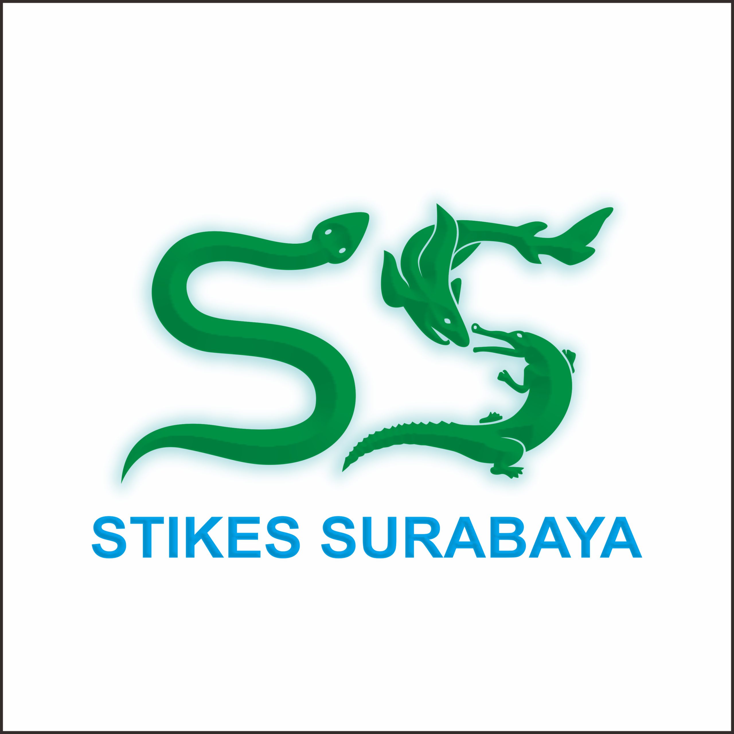 Stikes Surabaya